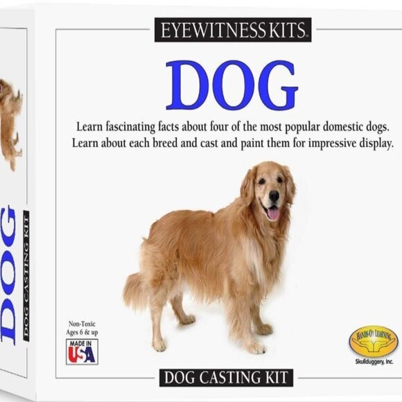 Skullduggery Eyewitness Kits Dog Chasing Educational Craft Kit Age 6 + New - Picture 1 of 6